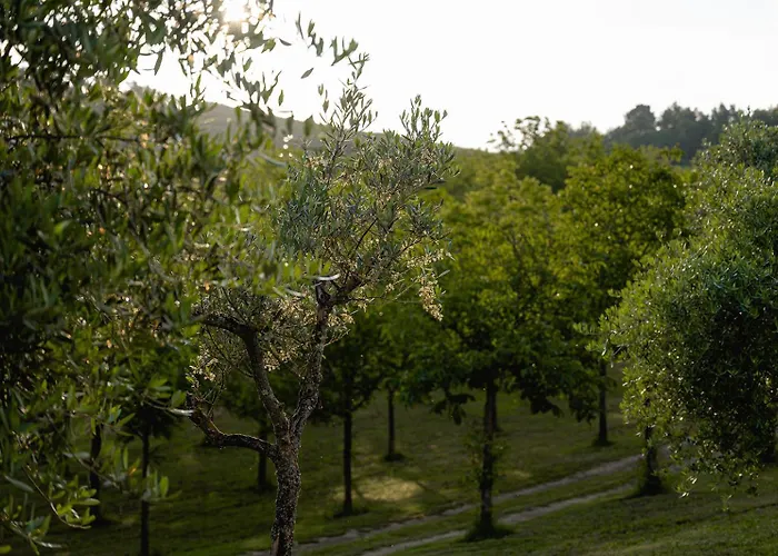 Glamping Umbria Bevagna